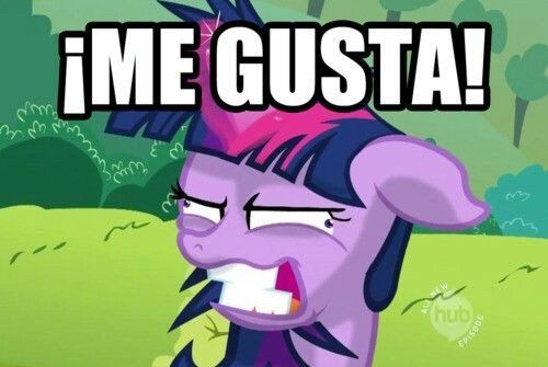 Click image for larger version

Name:	ee29e38af3c05be6fa43ff8f03d113d7--funny-twilight-twilight-sparkle.jpg
Views:	251
Size:	47.1 KB
ID:	4501