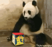 Click image for larger version

Name:	LOLomoninthe-Box.gif
Views:	215
Size:	1.10 MB
ID:	6064